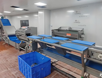 雲南酒店TIKTOK色情版下载設備廠家帶你了解淨菜加工設備和工藝